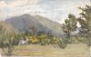 Picnic at Bloomfields