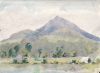 Betsycoed