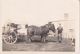 Arthur Patrick Story