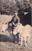 Arthur Patrick Story
