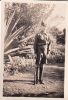 Joseph Patrick Story