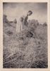 Marguerite Nancy Story