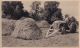 Joseph Patrick Story