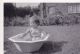 Vivien Douglas-Withers