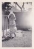 Vivien Douglas-Withers