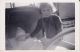 Vivien Douglas-Withers