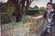 Adam Barry Story