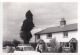 Lone Pine Cottage