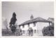 Lone Pine Cottage