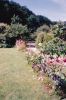 Wychwood Cottage.